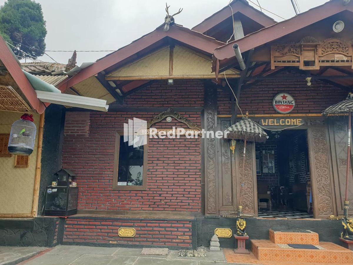 Hotel Yoschi'S Bromo At Desa Wisata Bromo Ngadisari Exteriér fotografie