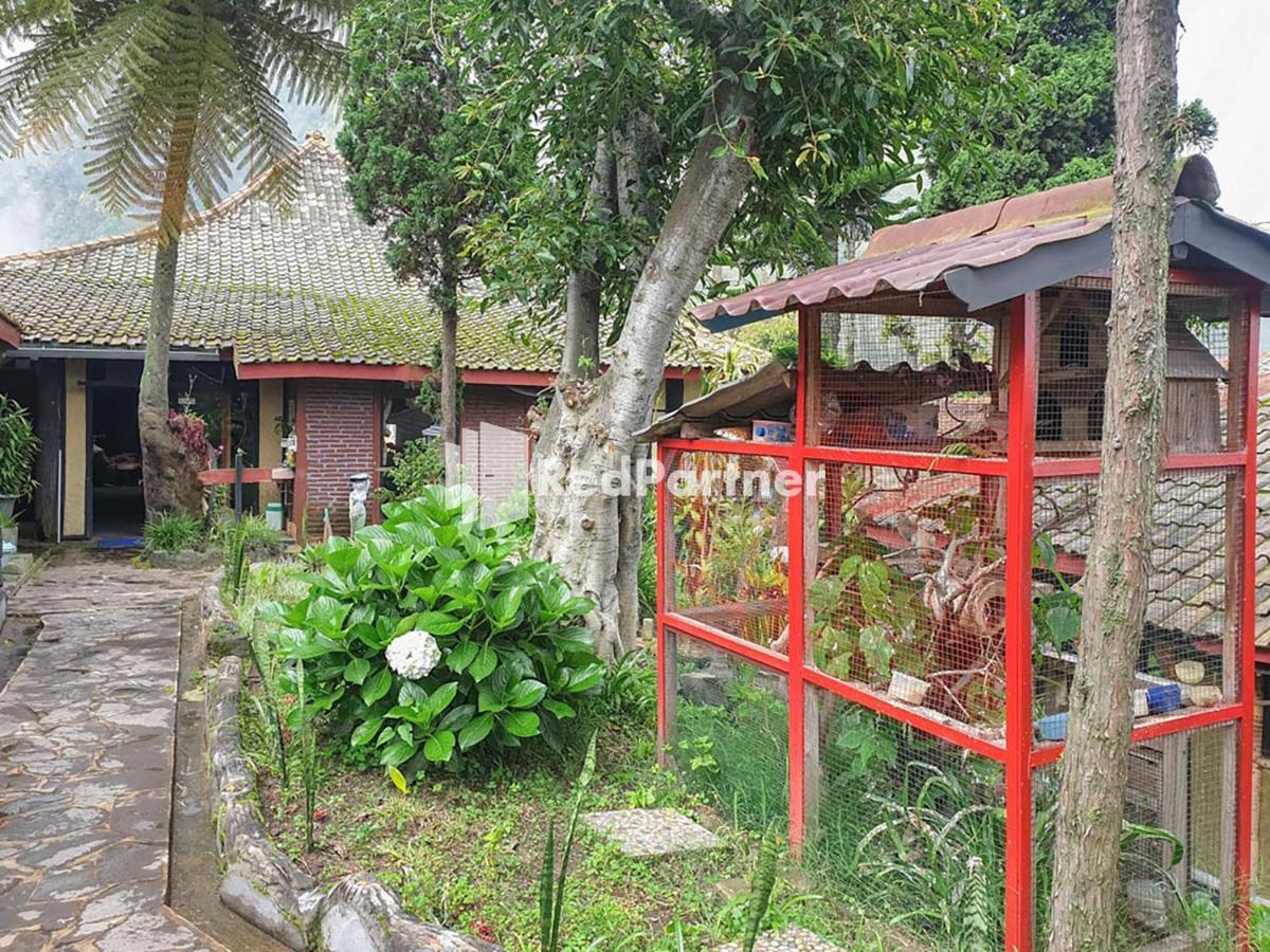 Hotel Yoschi'S Bromo At Desa Wisata Bromo Ngadisari Exteriér fotografie