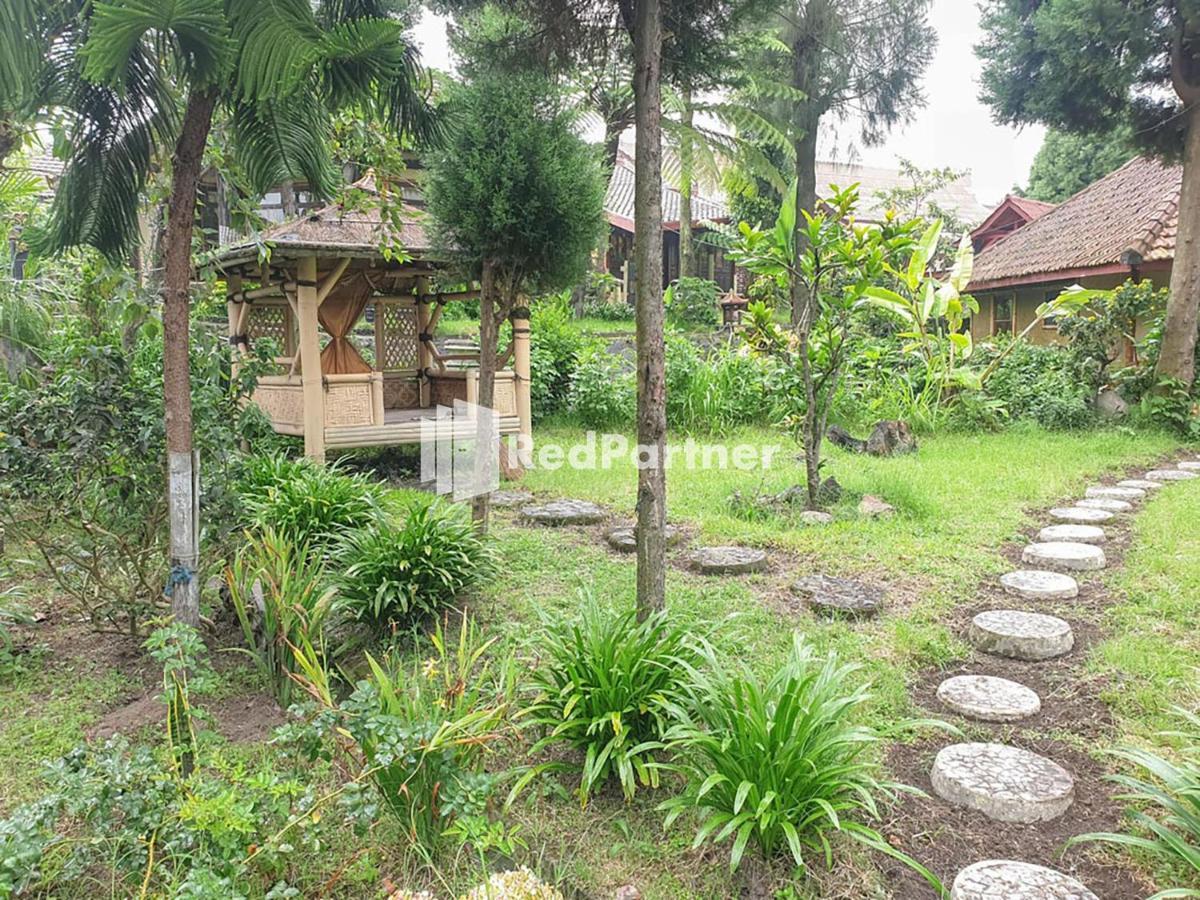 Hotel Yoschi'S Bromo At Desa Wisata Bromo Ngadisari Exteriér fotografie