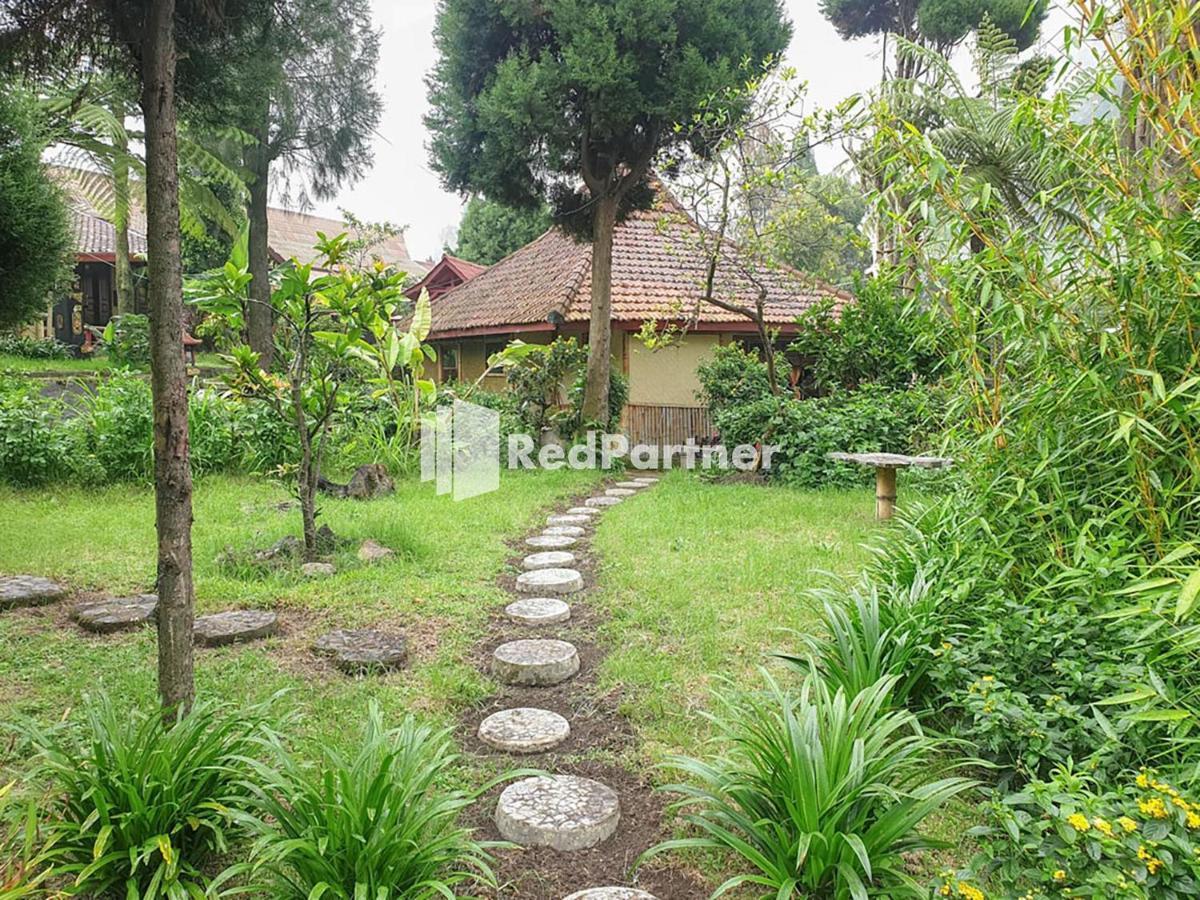Hotel Yoschi'S Bromo At Desa Wisata Bromo Ngadisari Exteriér fotografie